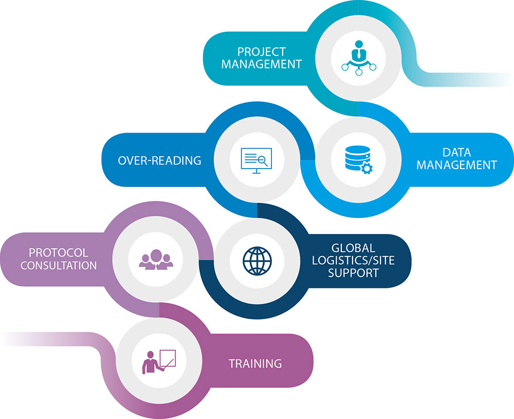 Project management course. Clinical research Manager отличается. Trial Management.